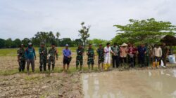 Sukseskan Ketahanan Pangan Nasional, PT Agrinas Pangan Nusantara dan Puslatpur TNI AD Gelar Tabur Benih Padi Gamagora 7