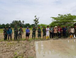Sukseskan Ketahanan Pangan Nasional, PT Agrinas Pangan Nusantara dan Puslatpur TNI AD Gelar Tabur Benih Padi Gamagora 7