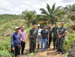Danrem 031/Wira Bima pantau lansung kegiatan penumbangan sawit +-400 an Ha di kawasan TNTN yang telah diserahkan untuk di hijaukan kembali (Reforestasi)