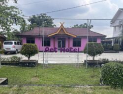 Kucing di Pekanbaru, Nikmati Layanan Pet Hotel Bintang 5