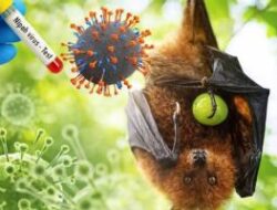 Dinas PKH Riau Perketat Pengawasan untuk Antisipasi Virus Nipah