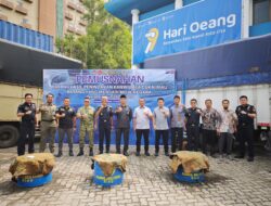 Kodam XIX/Tuanku Tambusai Dukung Penindakan, Bea Cukai Riau Musnahkan Barang Selundupan Senilai Rp44 Miliar