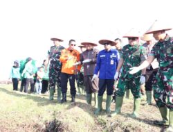 Persit KCK Berkarya, Pangdam XIX/Tuanku Tambusai dan Ketua Persit KCK Daerah XIX/Tuanku Tambusai Pimpin Tanam Mangrove di Bengkalis