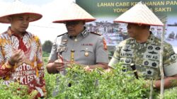 Danrem 031/WB Laksanakan Panen Raya Cabai di Kebun Yonif 132/BS sebagai Wujud Nyata Dukungan TNI terhadap Program Ketahanan Pangan Nasional