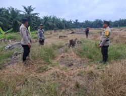 Dukung Asta Cita Presiden, Bhabinkamtibmas Cek Kesiapan Lahan Jagung di Batu Hampar