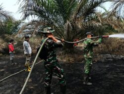 Kodam XIX Tuanku Tambusai Gerak Cepat Padamkan Karhutla di Toro Jaya