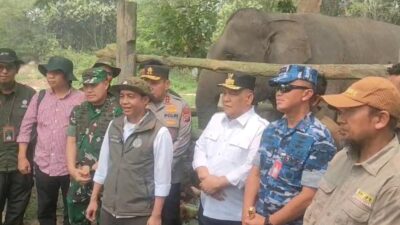 Kolaborasi Pemerintah dan TNI di Tesso Nilo, Pangdam XIX/TT Dampingi Menteri Kehutanan Tinjau Camp Elephant Flying Squad