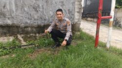 Polsek Limapuluh Tanam Bibit Buah Produktif di Kelurahan Tanjung Rhu