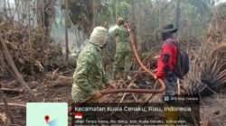 Karhutla Seluas 1 Hektare di Kuala Cenaku, Kodam XIX Tuanku Tambusai Dukung Upaya Pemadaman