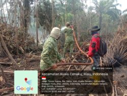 Karhutla Seluas 1 Hektare di Kuala Cenaku, Kodam XIX Tuanku Tambusai Dukung Upaya Pemadaman
