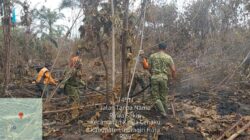 Satu Hektare Lahan Terbakar, Tim Gabungan Bergerak di Kuala Cenaku