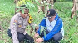 Kejar Target 1 Juta Pohon, Polsek Limapuluh Tanam Kaliandra hingga Petai di Jalan Dr Susilo